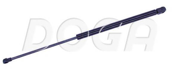 DOGA 2023813