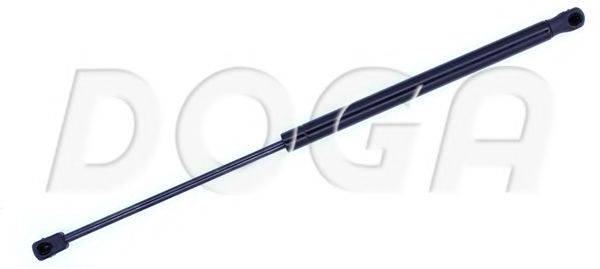DOGA 2025323