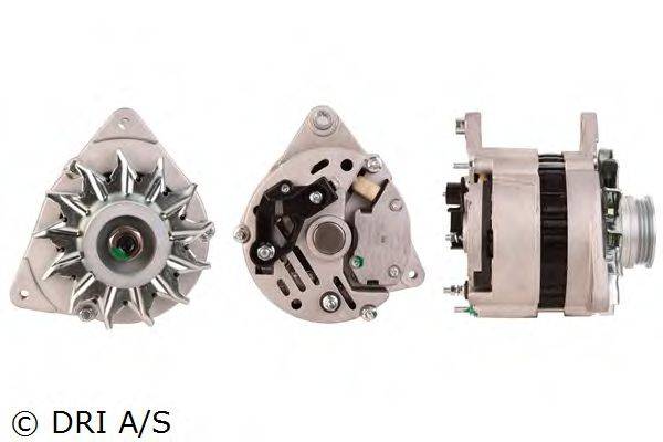 DRI 219121702