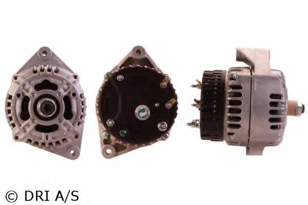 DRI 500124952