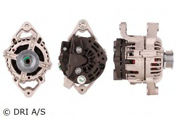 DRI 228134702