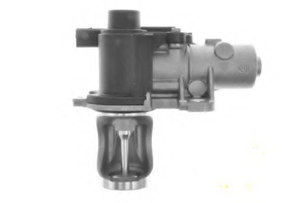 DRI 717730007