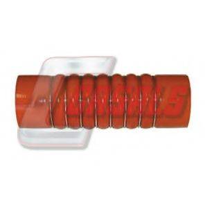 CASALS 33237