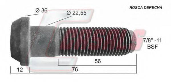 CASALS 21295