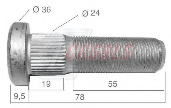 CASALS 21541 Болт кріплення колеса