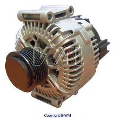 WAIGLOBAL 11162R