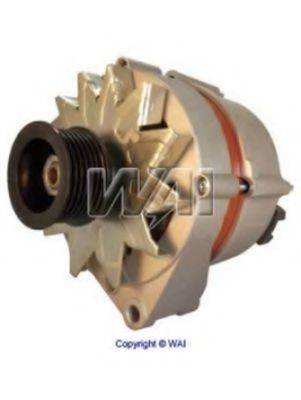 WAIGLOBAL 13243N