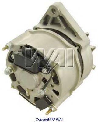 WAIGLOBAL 12614N