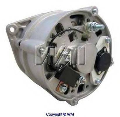 WAIGLOBAL 12031N