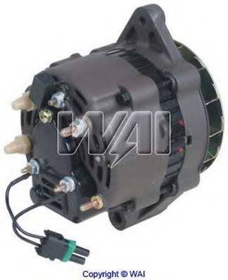 WAIGLOBAL 12175N