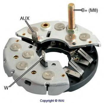 WAIGLOBAL IBR308