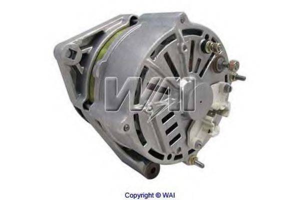 WAIGLOBAL 13161R