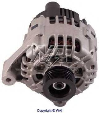 WAIGLOBAL 22955R