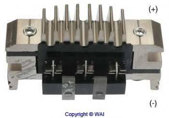 WAIGLOBAL IDR560