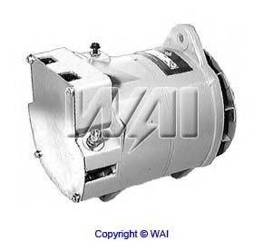 WAIGLOBAL 42735