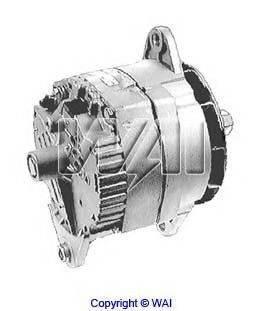 WAIGLOBAL 42704