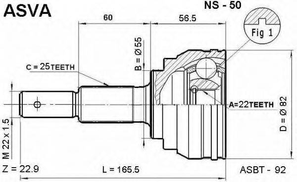 ASVA NS-50