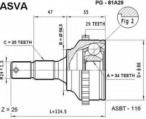 ASVA PG-81A29
