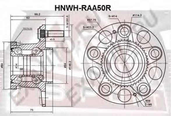 ASVA HNWH-RAA50R