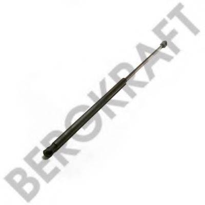 BERGKRAFT BK8400348