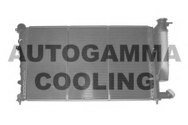 AUTOGAMMA 100214 Радіатор, охолодження двигуна