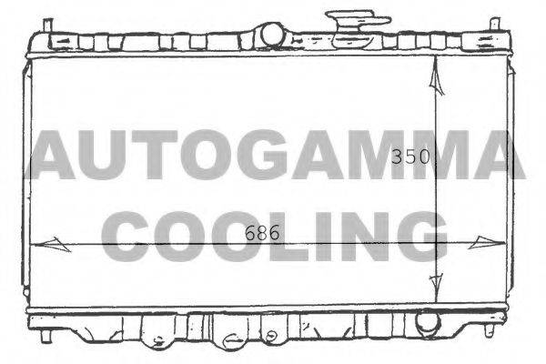 AUTOGAMMA 100408 Радіатор, охолодження двигуна