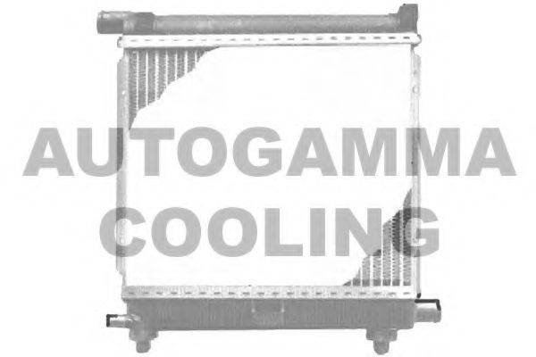 AUTOGAMMA 100511