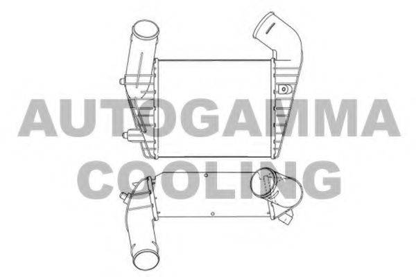 AUTOGAMMA 101864 Інтеркулер