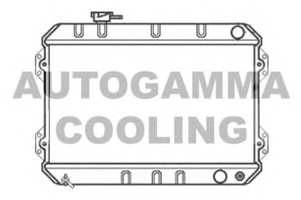 AUTOGAMMA 102098 Радіатор, охолодження двигуна