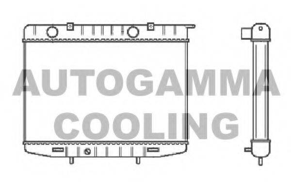 AUTOGAMMA 102228 Радіатор, охолодження двигуна