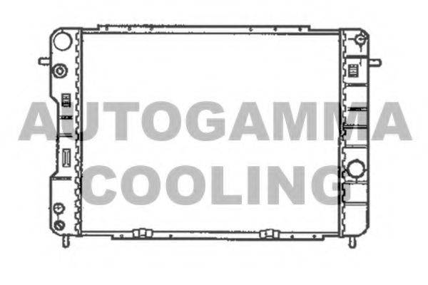 AUTOGAMMA 102256