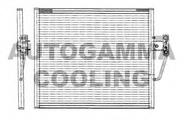 AUTOGAMMA 102610