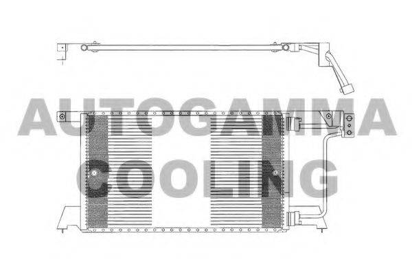AUTOGAMMA 102622