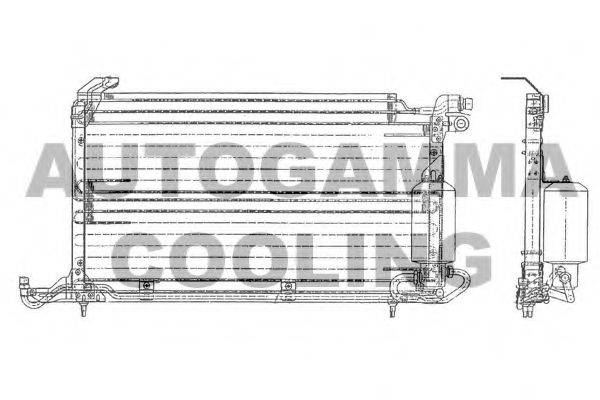AUTOGAMMA 102814