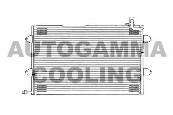 AUTOGAMMA 102820