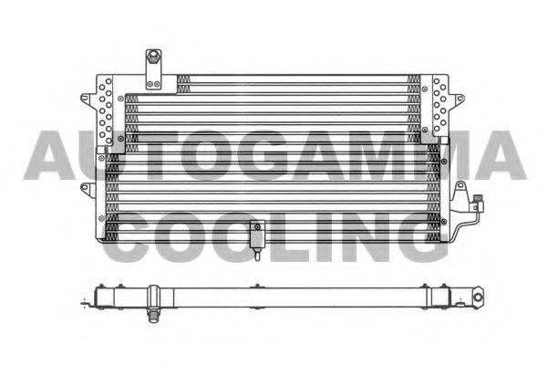 AUTOGAMMA 102822