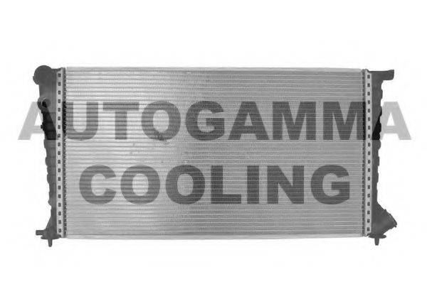 AUTOGAMMA 102906 Радіатор, охолодження двигуна