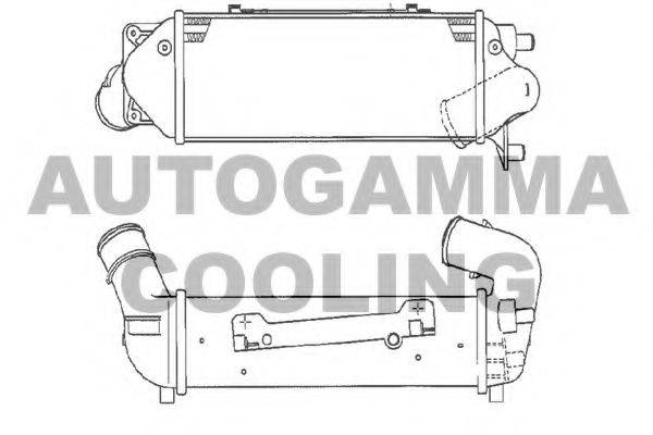 AUTOGAMMA 103017