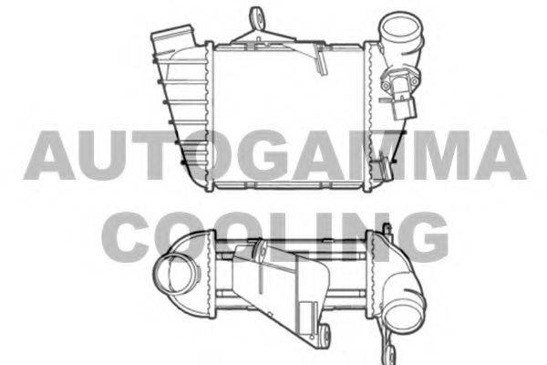 AUTOGAMMA 103637