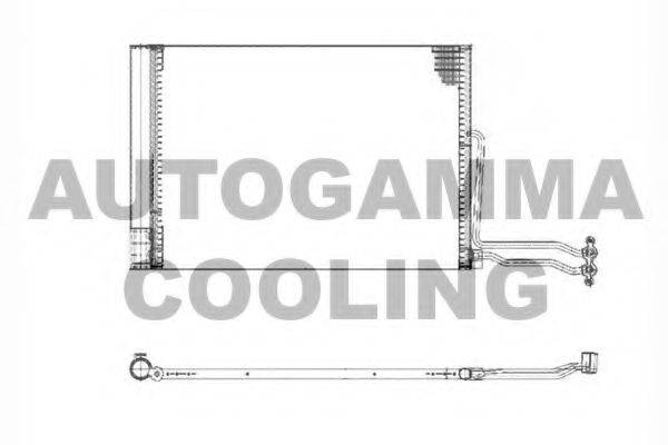 AUTOGAMMA 103725