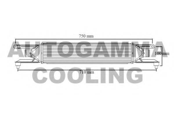 AUTOGAMMA 103992