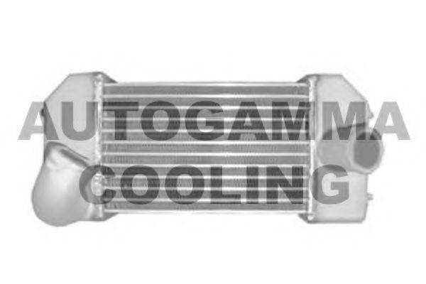 AUTOGAMMA 104136 Інтеркулер