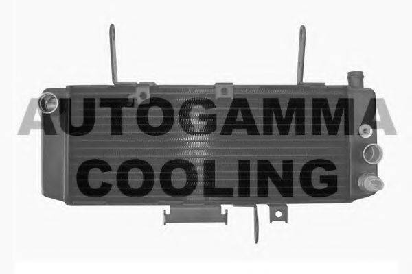 AUTOGAMMA 104343 Радіатор, охолодження двигуна