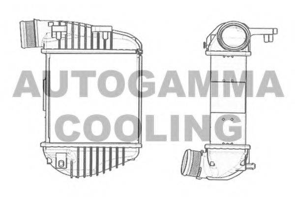 AUTOGAMMA 104405