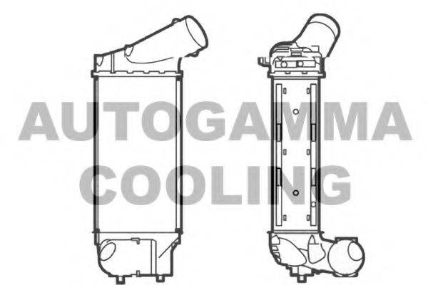 AUTOGAMMA 104490