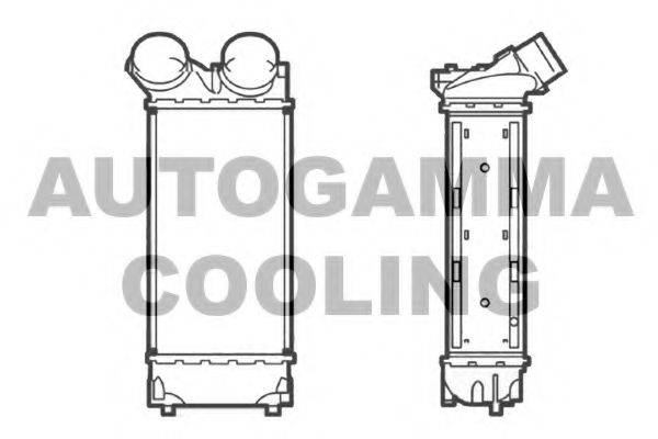 AUTOGAMMA 104491