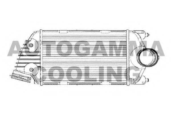 AUTOGAMMA 105379