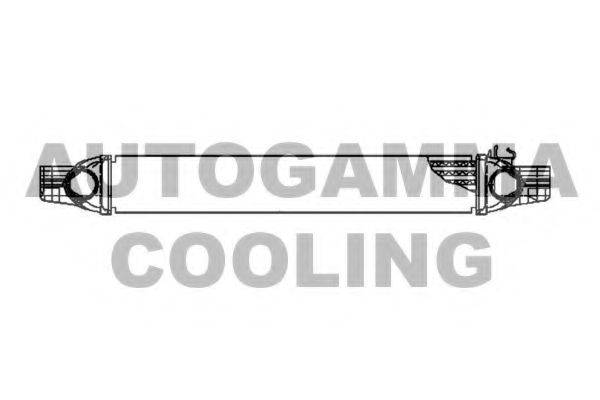 AUTOGAMMA 105498