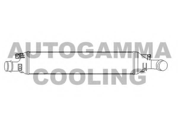AUTOGAMMA 105943