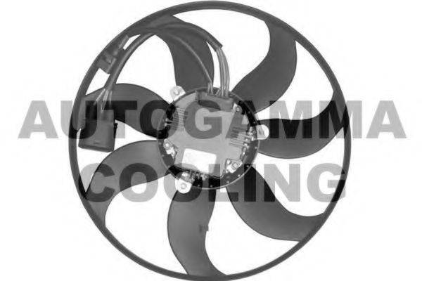 AUTOGAMMA GA221005